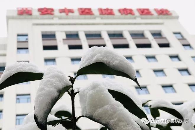 雪中的西安中医脑病医院  这是我见过你最美的样子