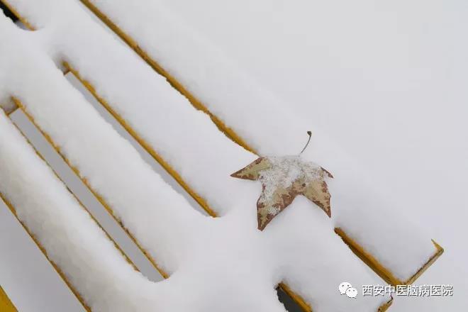 雪中的西安中医脑病医院  这是我见过你最美的样子