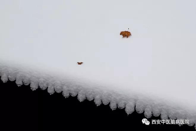 雪中的西安中医脑病医院  这是我见过你最美的样子