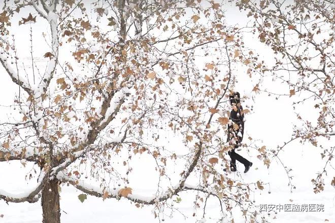 雪中的西安中医脑病医院  这是我见过你最美的样子