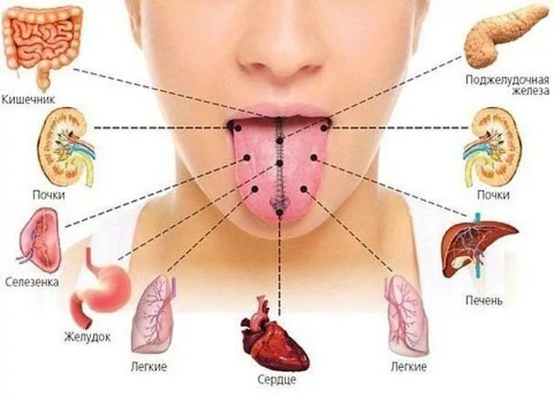 Секреты Традиционной Китайской Медицины